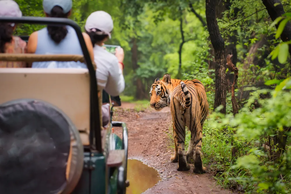 Panna National Park