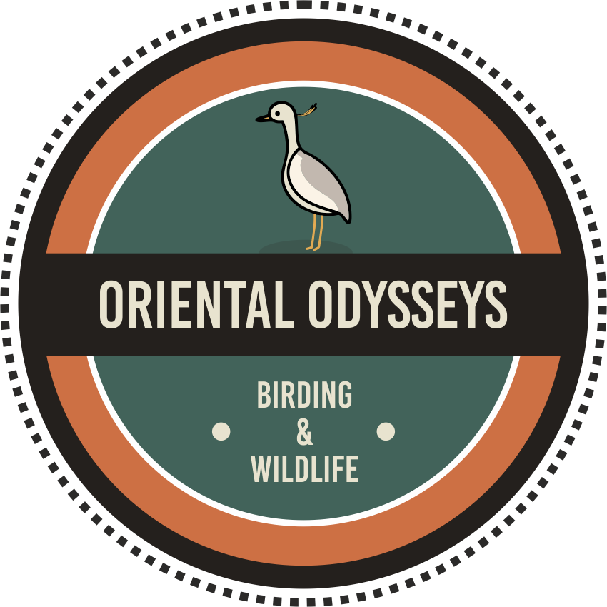 orientalodysseys